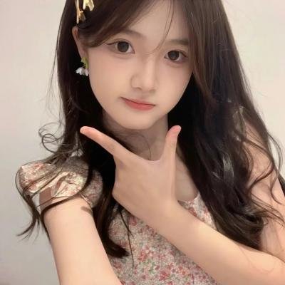 顽皮豹之子